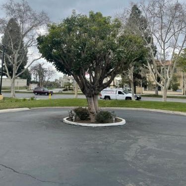 Chino Motel Thumbnail